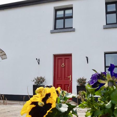 Cartron House Ballinakill (Galway) Exterior foto